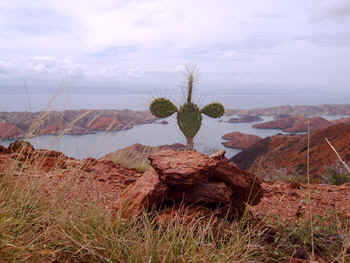 LagunaGde11.jpg (52753 octets)