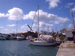 StMartin7.jpg (37678 octets)