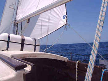 Testigos1.JPG (48803 octets)