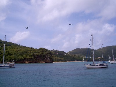 bequia6.jpg (28257 octets)