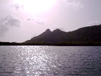 cariacou10.JPG (10556 octets)