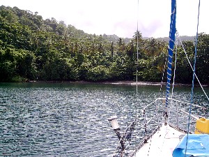 cariacou2.JPG (37619 octets)