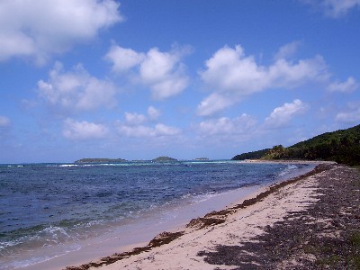 mayreau4.jpg (36049 octets)
