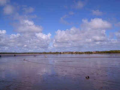 pict0010.jpg (34471 octets)