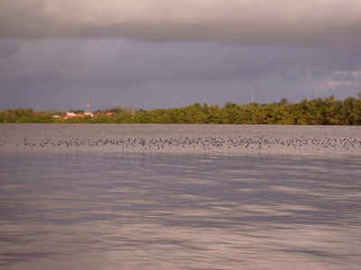 pict0012.jpg (34464 octets)