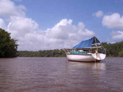 pict0019.jpg (40081 octets)