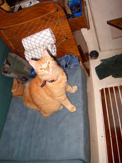 pict0022.jpg (43946 octets)