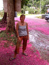 2 fleurs.JPG (33553 octets)
