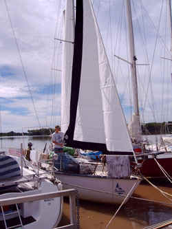 voile.jpg (43039 octets)